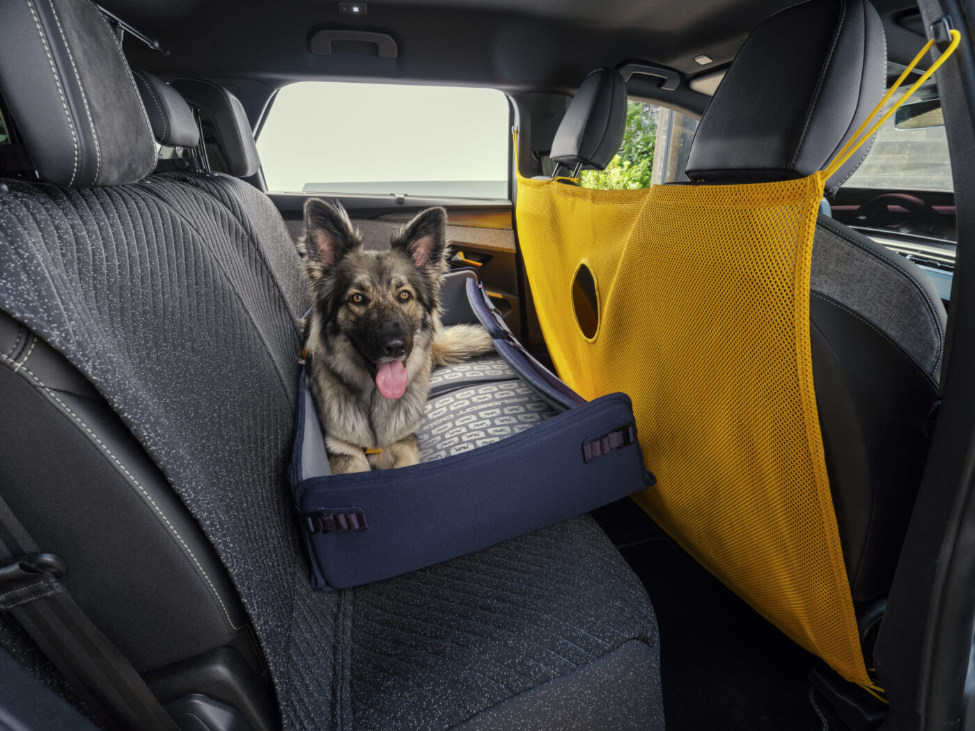 Schäferhund in blauem Hundesitz im Fond des PEUGEOT E-5008 Dog Edition Concept mit gelber Mesh-Trennwand