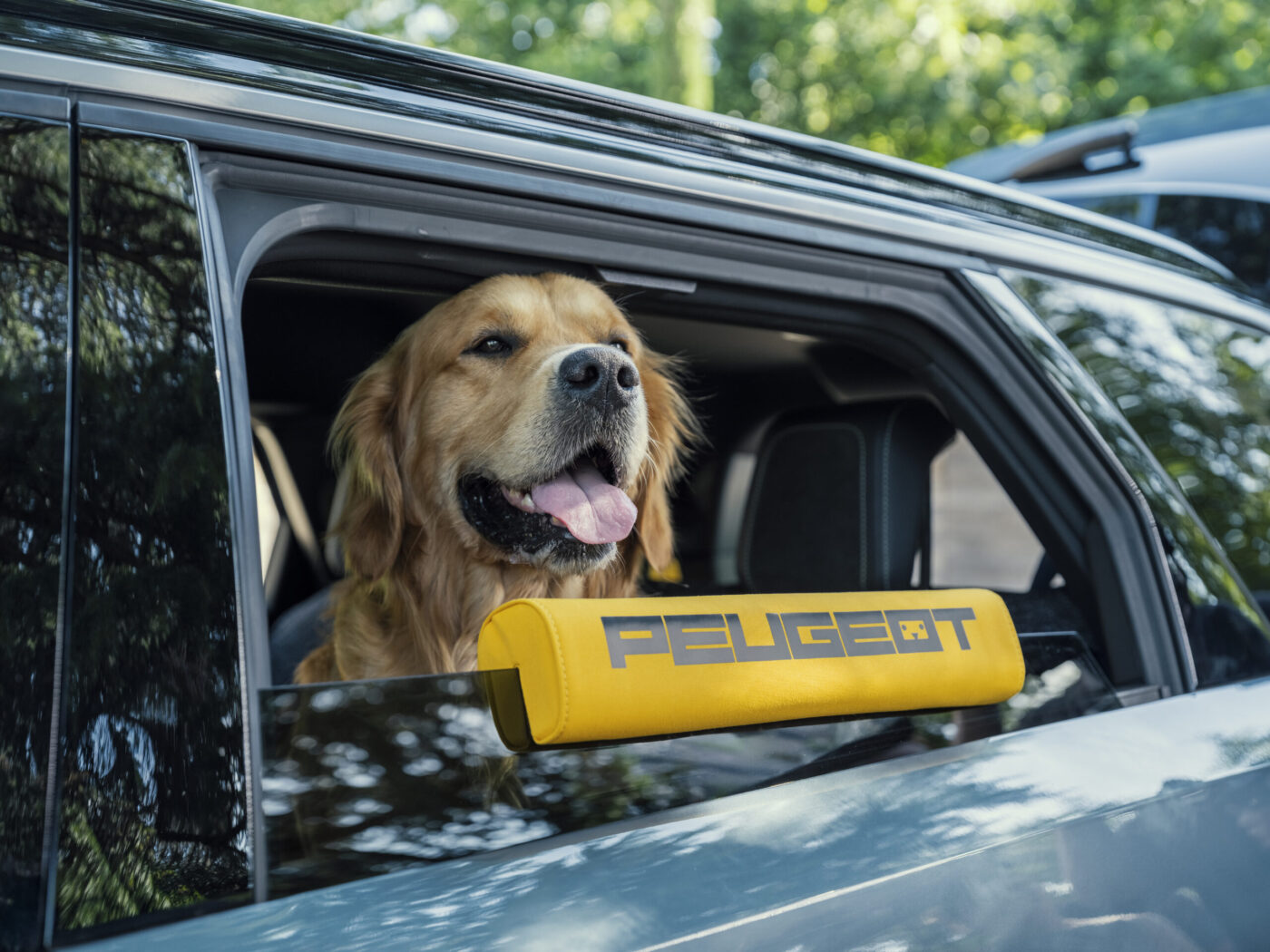 Golden Retriever schaut aus dem Fenster des PEUGEOT E-5008 Dog Edition Concept; gelbe Spiegel-Kopfstütze sichtbar