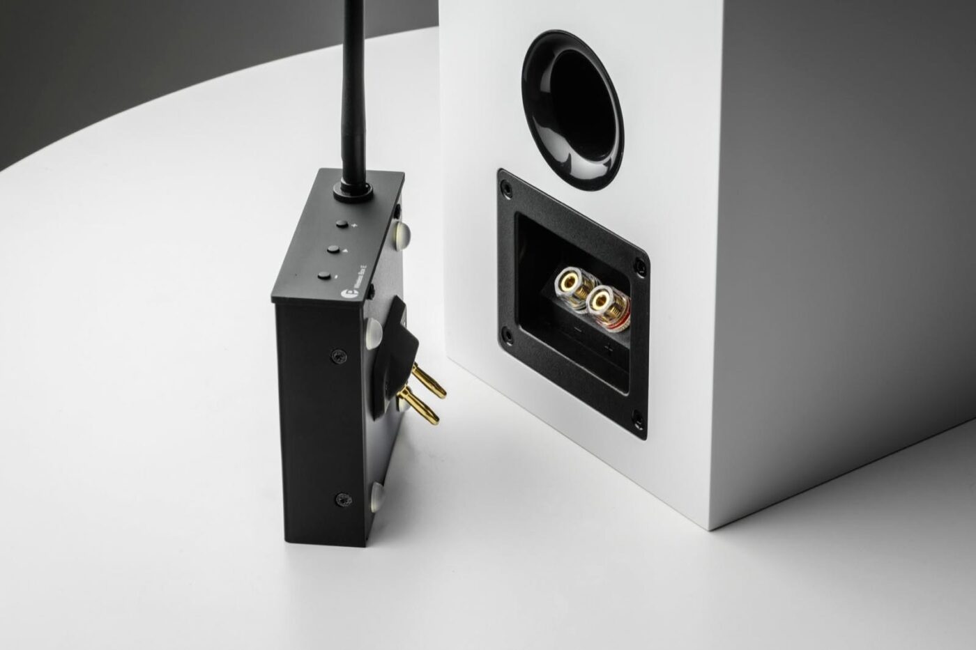 Pro-Ject Wireless-Steckmodul mit Antenne neben Lautsprecherterminal einer weißen Passivbox