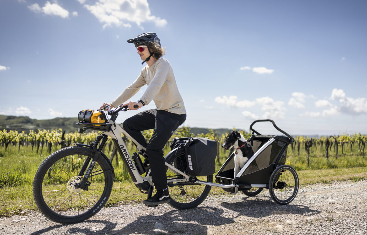 Amflow TL Carbon E-Bike mit Hundeanhänger auf Schotterweg durch Weinberge