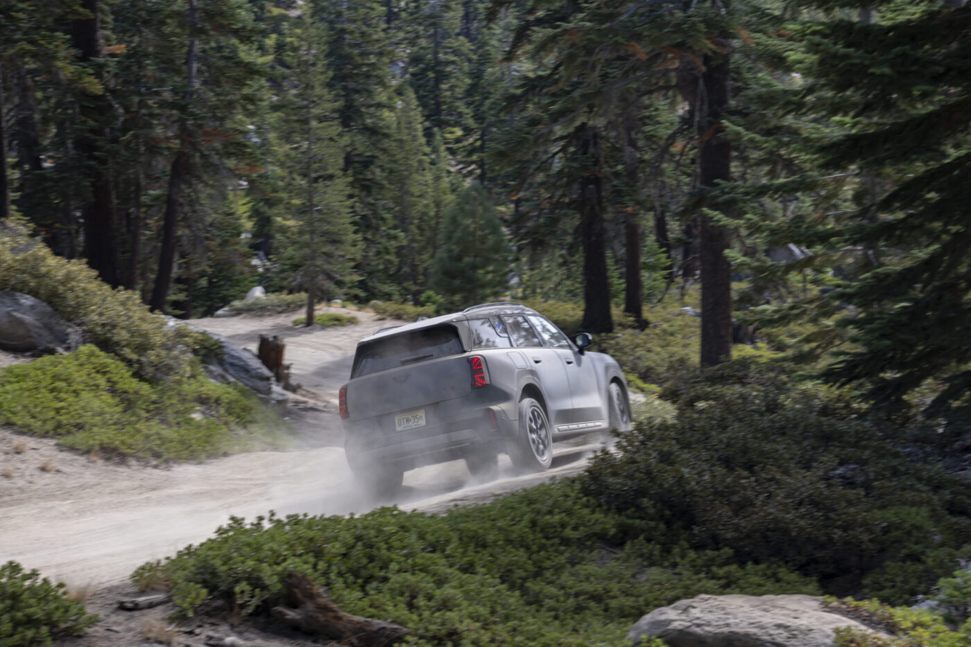 MINI Countryman Untamed Edition auf staubigem Waldweg zwischen Nadelbäumen